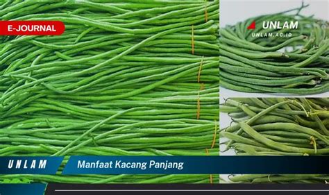 Ketahui Manfaat Kacang Panjang Yang Bikin Penasaran