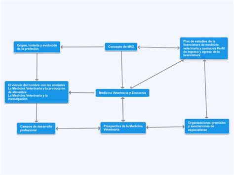 Representaci N Gr Fica De Las Profesiones Mind Map