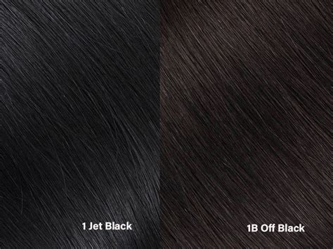 1 Hair Color VS 1B Hair Color