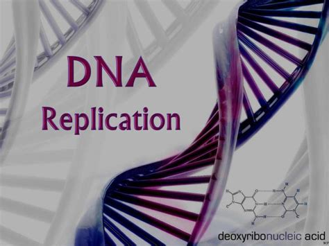 Dna Processing Powerpoint Template 575