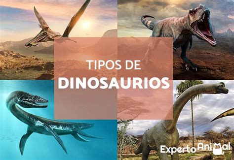 Las Clases De Dinosaurios Hot Sex Picture