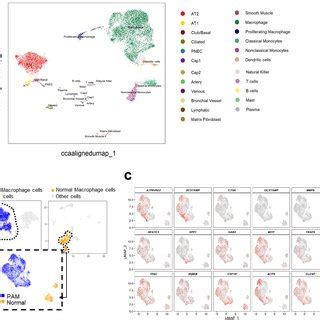 Integrated Single-cell RNA-seq analysis identifies diverse cell ...