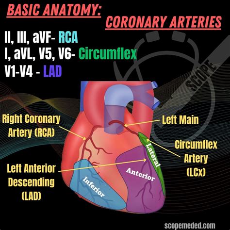 Basics of Coronary Arteries – SCOPE