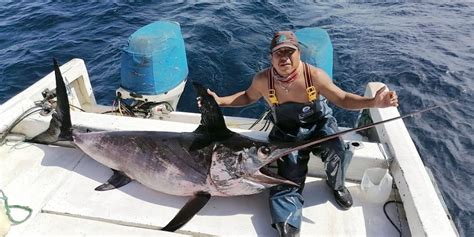 Swordfish In The Galapagos? - Ecuagringo