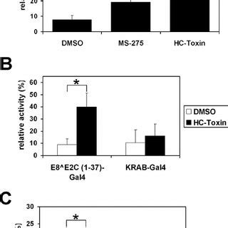 HDAC inhibitors counteract E8ˆE2C mediated reporter gene inhibition