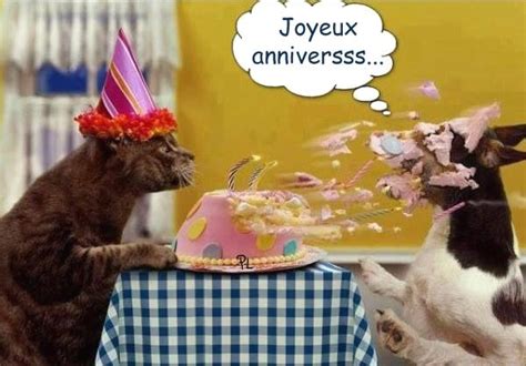 Rigolo Joyeux Anniversaire Chien Humour BlageusDown