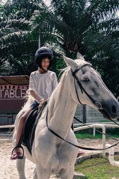 Horse Riding Adventure In Johor Bahru Sinar Eco Resort