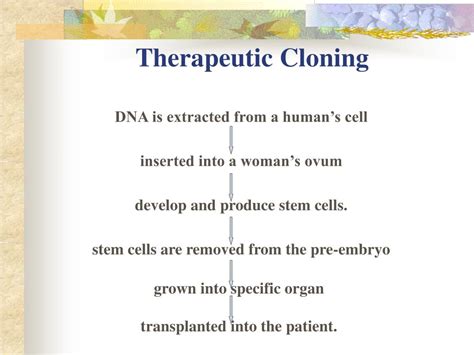 PPT - Therapeutic Cloning PowerPoint Presentation, free download - ID ...