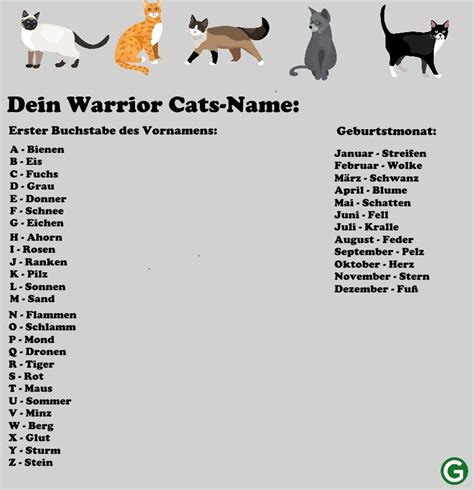 Warrior Cats Namen Erfinden Und Generator