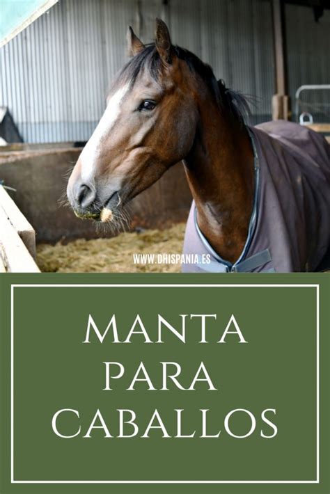 Blog Manta para Caballos Tienda Hípica D Hispania