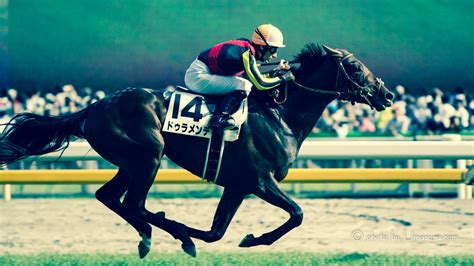 【競馬壁紙】ゴールドシップ｜pcパソコン・スマホ・タブレット画像 【馬空 Umazora 】競馬写真・オリジナル競馬壁紙・一口馬主ブログ