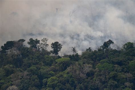 Live Updates Rainforest Fires In The Amazon