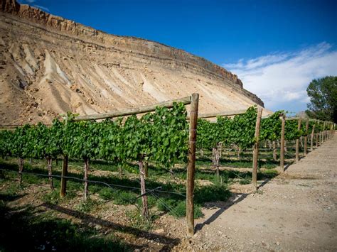 Guide To Exploring the Palisade Wineries in Western Colorado - The ...