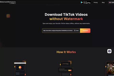 5 Free Tool TikTok Private Video Downloader in 2024