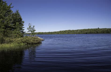 A Curve In The Lake At Van Riper State Park Michigan Image Free