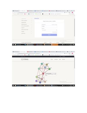 Matriz DOFA Viviana Mi Proyecto De Vida Pasos Seguros Hacia Un