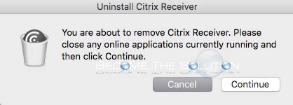 Fix Citrix Receiver Disappearing Mouse Cursor