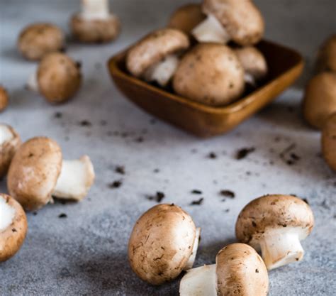 La véritable histoire du champignon de Paris Paris ZigZag Insolite