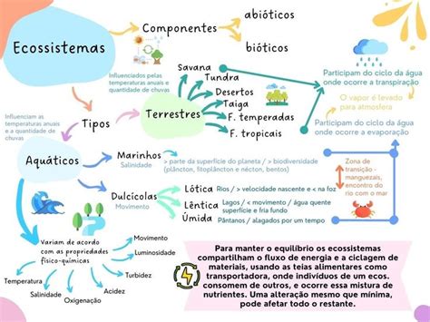 Sara Daiane On Instagram Ecossistemas E Suas Relações 🤎 Biologia Ecologia