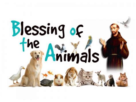 Annual Blessing of Animals - Pastorate of the Visitation | Catholic ...