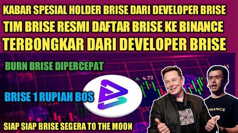 Spesial Terbongkar Dari Developer Brise Bitgert Daftar Brise Di