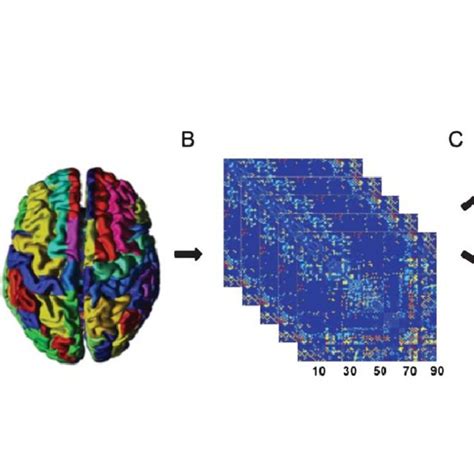 Flow Chart Of Constructing A Dti Based Network A Whole Brain Fiber Download Scientific