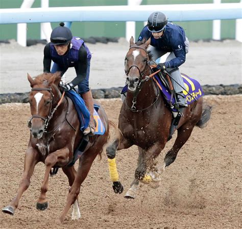 【天皇賞・秋】レーベンスティールの1週前追い切りにルメール騎手が騎乗「これからもっとシャープに」 Umatoku 馬トク