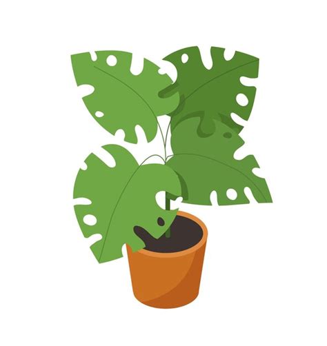 Premium Vector Isometric Plant In Flowerpot Concept Tropical And