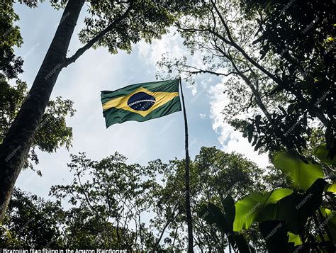 The Brazilian flag flies in the Amazon Rainforest | Premium AI