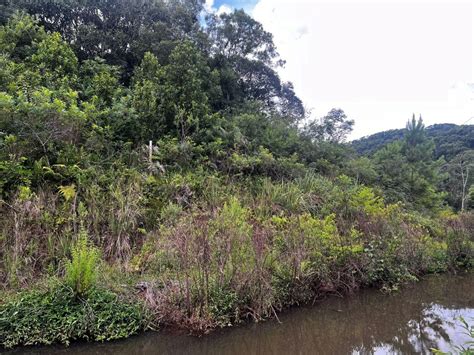 Adolescente Morre Afogado Ao Salvar Irm Em Chapec