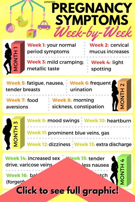 Pregnancy Symptoms By Week Pregnancy Chart Pregnancy Timeline