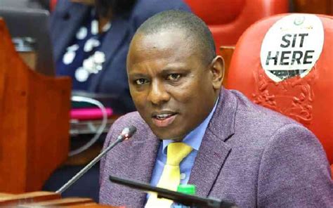 Kimani Ichung Wah Defends Ruto S Taxes Ahead Of Parliament Debate