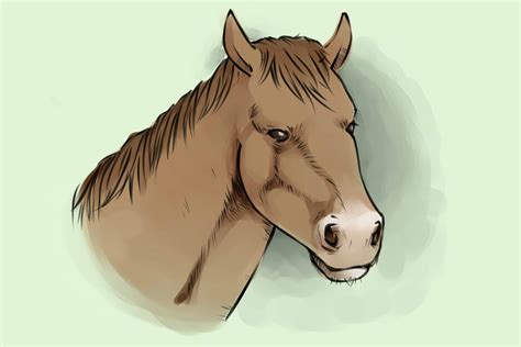 How To Draw A Horse Head Step By Step For Kids