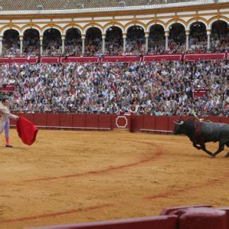 How to Get Pamplona Bullfight Tickets 2023 | Runningofthebulls.com