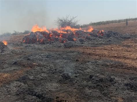 50 Quintals Of Wheat Crop Was Burnt To Ashes Villagers Said If There