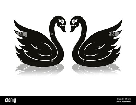 Black Swan Clipart Vector Flat Design Isolated On White Background Two