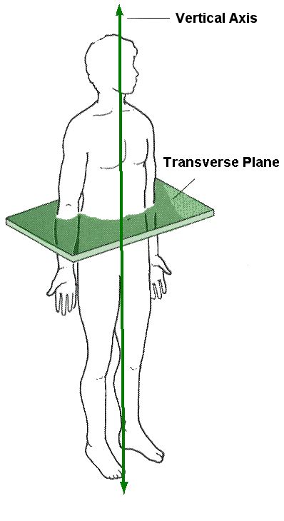 Longitudinal Axis Movement