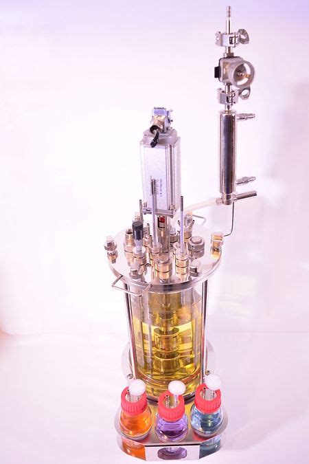 L Laboratory Bioreactor Bioreactors Net