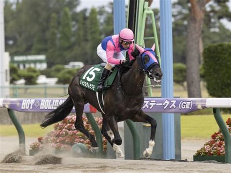 21年レパードs覇者メイショウムラクモ 左腸骨々折で6カ月以上の休養を要す見込み 競馬ニュース Netkeiba