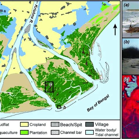 Land use/land cover map prepared from the satellite image... | Download Scientific Diagram