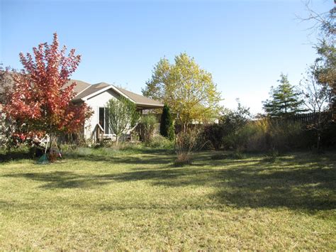 Lessons of a Backyard Meadow - Monarch Gardens