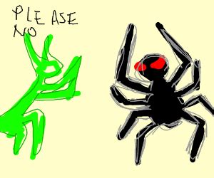 Praying Mantis and a Spider - Drawception