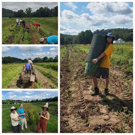 Rolling Harvest Food Rescue Connecting Local Farmers With Neighbors