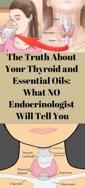 The Truth About Your Thyroid And Essential Oils What No