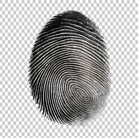 Fingerprint black and white on transparent background | Premium AI ...