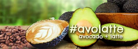 Cafe Introduces Avocado Latte To Millennial Hipster Delight Andnowuknow