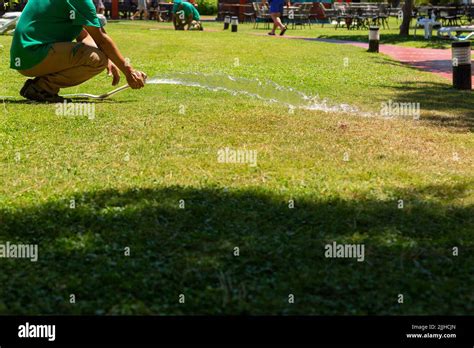 Une Personne Dans Le Jardin Arroser Banque De Photographies Et Dimages