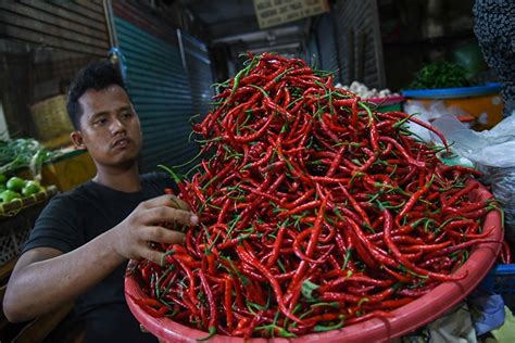 Harga Cabai Merah Naik Rp10 000 Di Medan Jadi Segini