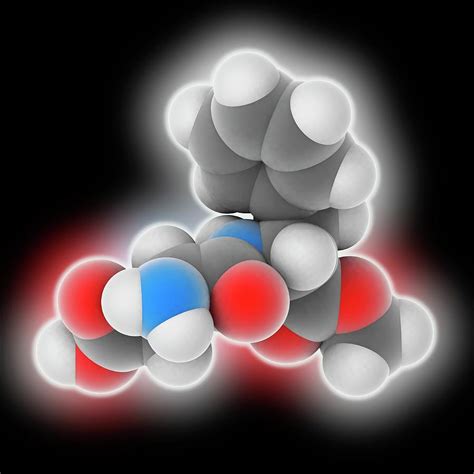 Aspartame Molecule By Laguna Design