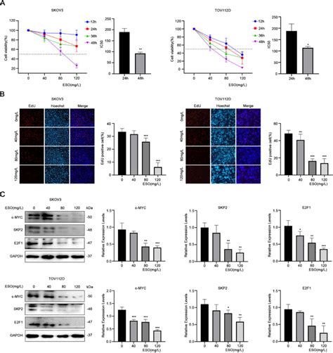 Eso Inhibits The Proliferation Of Ovarian Cancer Cells A The Cck 8